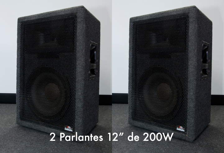 Parlantes de 12 Parlantes de 12